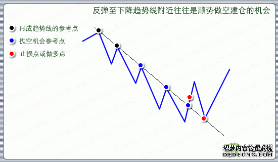 pic6.gif