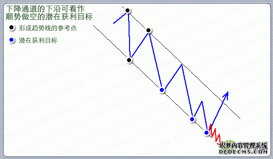 pic8.gif