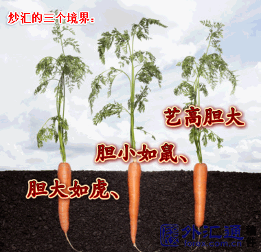 炒汇三境界：从胆大如虎到艺高胆大