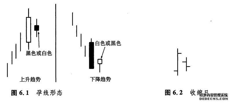 十分钟教会你孕线形态