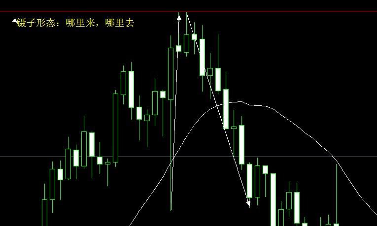 图片8.jpg 图片8.jpg