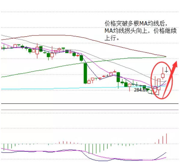 1483492306123886_副本.jpg 1483492306123886_副本.jpg