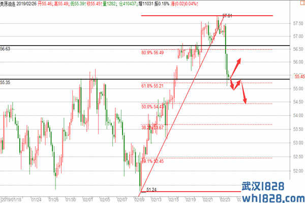 2.26原油大赚200点,黄金看反弹操作建议！