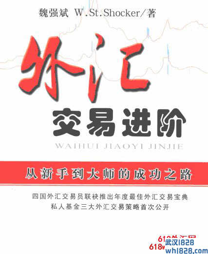 外汇交易进阶-从新手到大师的成功之路