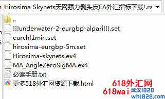 Hirosima Skynets天网强力剥头皮EA外汇指标下载