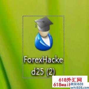 Forex Hacked v2.5 对冲加码外汇EA指标下载