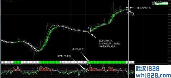 绿火外汇交易系统MT4下载