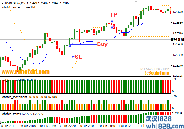 还不错的指标Robofx Scalping Strategy分享下载