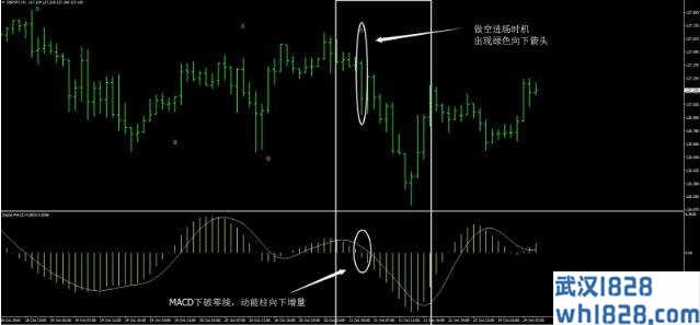 MACD&RSI&EMA数据组合外汇交易系统下载