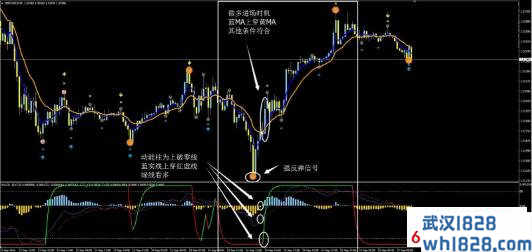 沙夫策略外汇交易系统下载