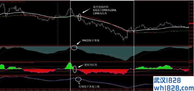 趋势预测外汇交易系统下载