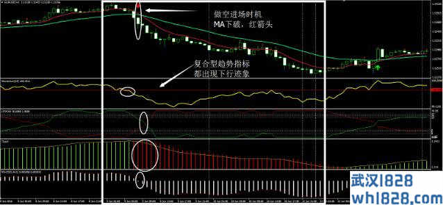 钻石力量趋势外汇交易系统下载