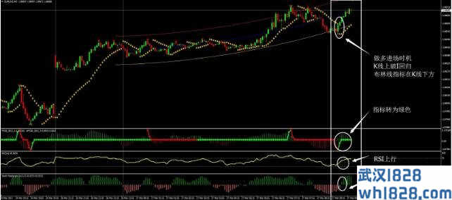 FX11外汇交易系统下载