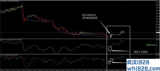 Fx Divergence外汇交易系统下载。