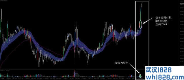 音速R外汇交易系统下载