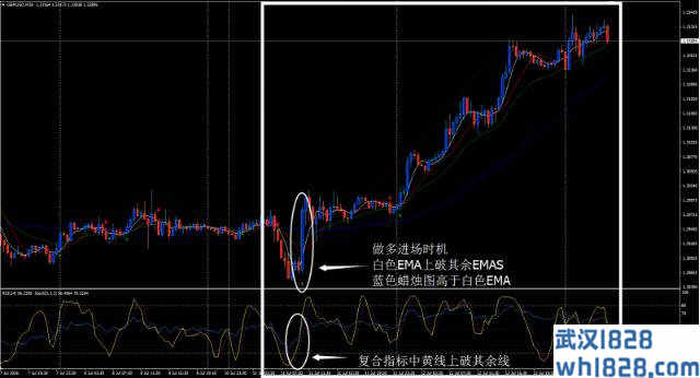 朗策略外汇交易系统下载