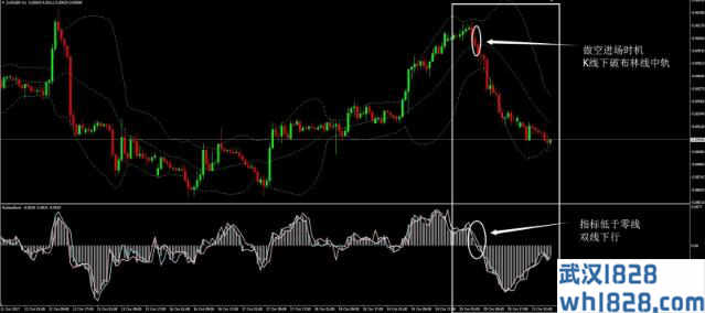 橡皮通道&布林线外汇交易系统下载