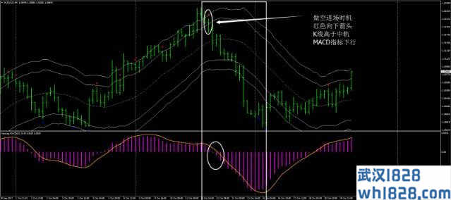 无延迟MACD&CCI信号外汇交易系统下载