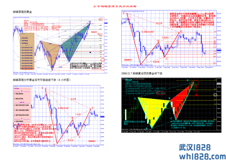 新版蝴蝶形态高级版提前预测D点位置，外汇原油白银黄金MT4指标系统。