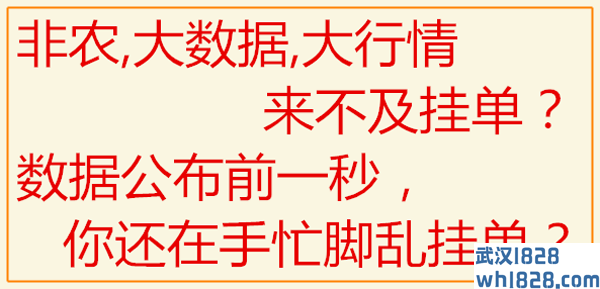 大行情非农一键双向挂单脚本/两款版本