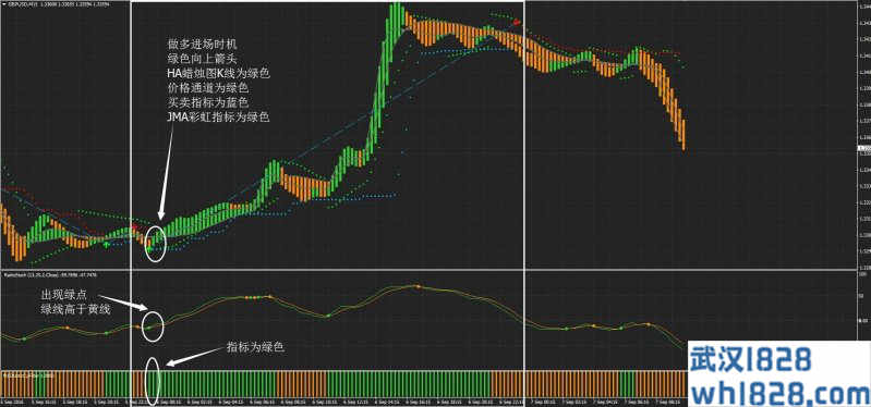 Ratis修改版外汇交易系统下载