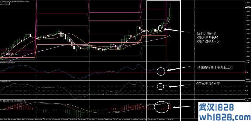 Gann&CCI&MACD外汇交易系统下载