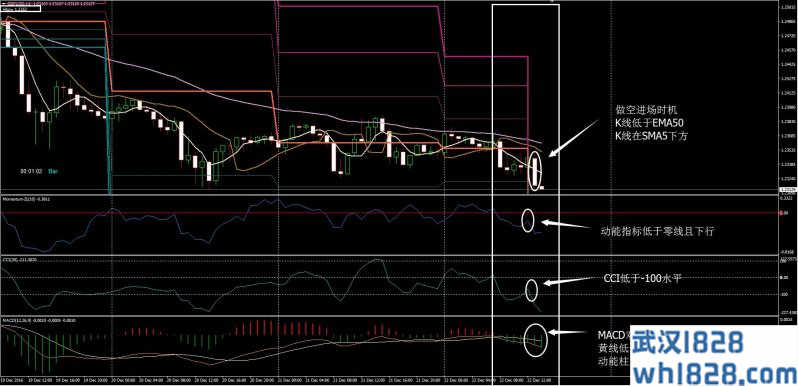 Gann&CCI&MACD外汇交易系统下载