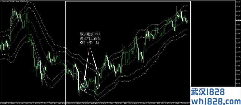 裸熊形态外汇交易系统下载