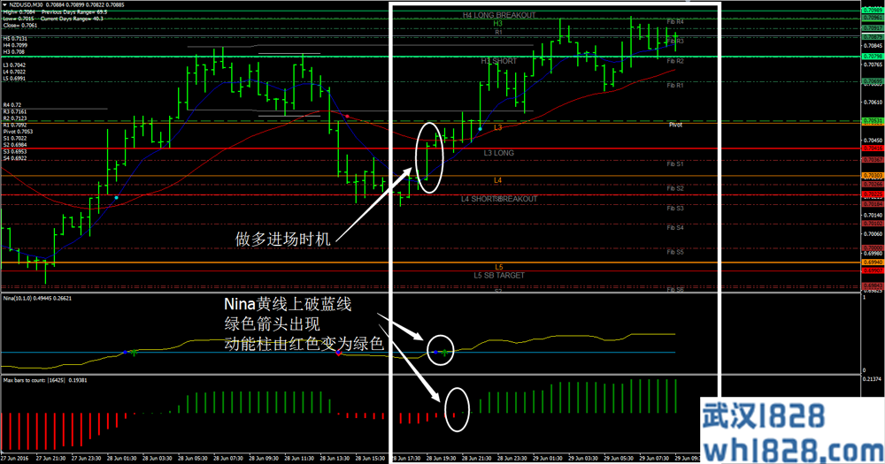 CATFX50 Forex Trading System外汇交易