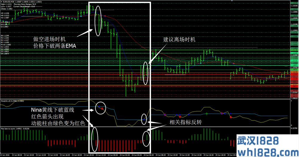 CATFX50 Forex Trading System外汇交易