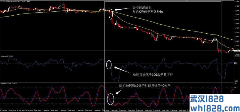 完美外汇交易系统下载