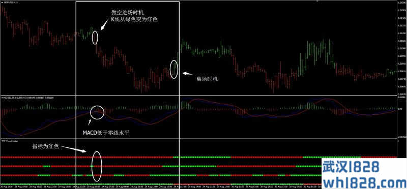 趋势3外汇交易系统下载