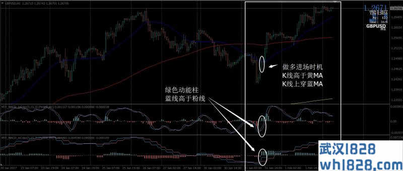 智能外汇交易系统下载