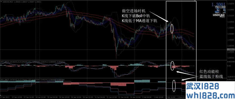 智能外汇交易系统下载