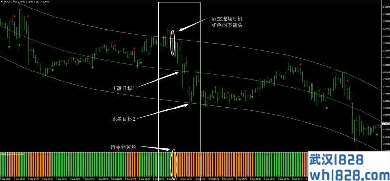 银趋势(I回归)外汇交易系统下载