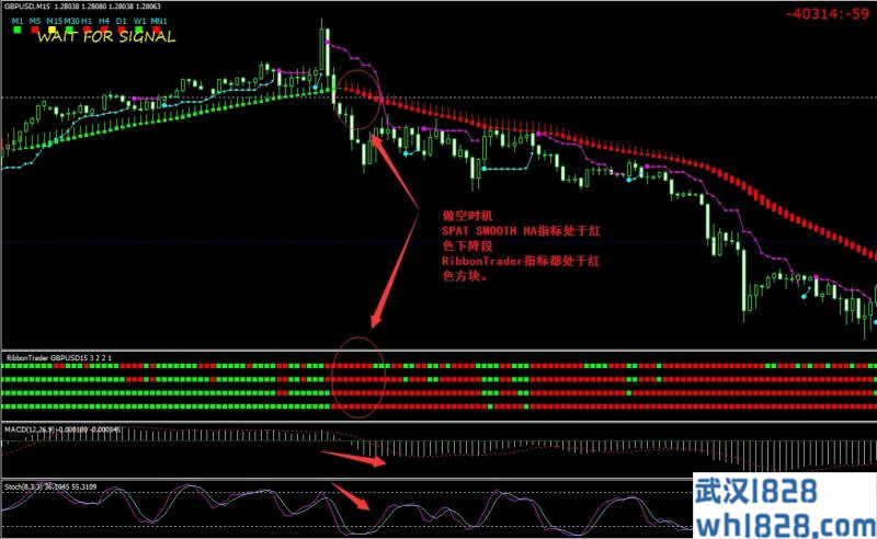 Ribbon Trader MACD and Stochastic外汇交易