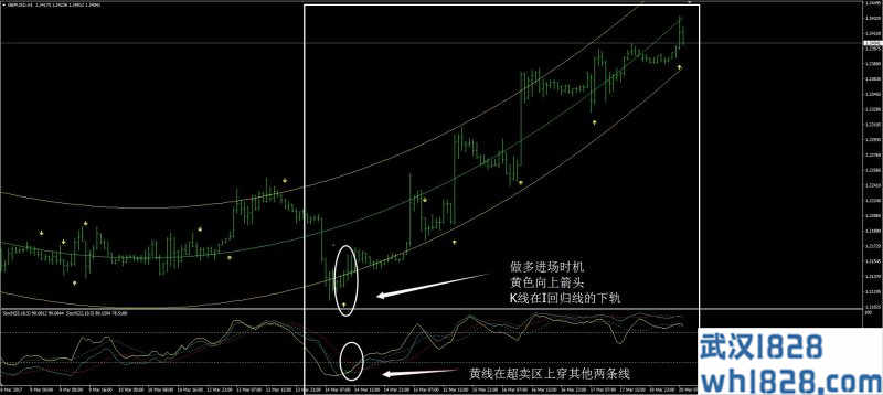 毒蛇外汇交易系统下载