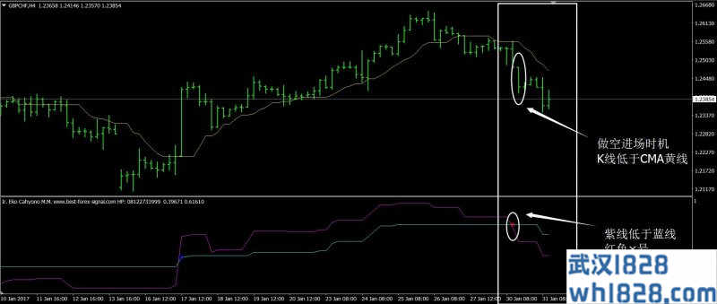  4小时CMA外汇交易系统下载