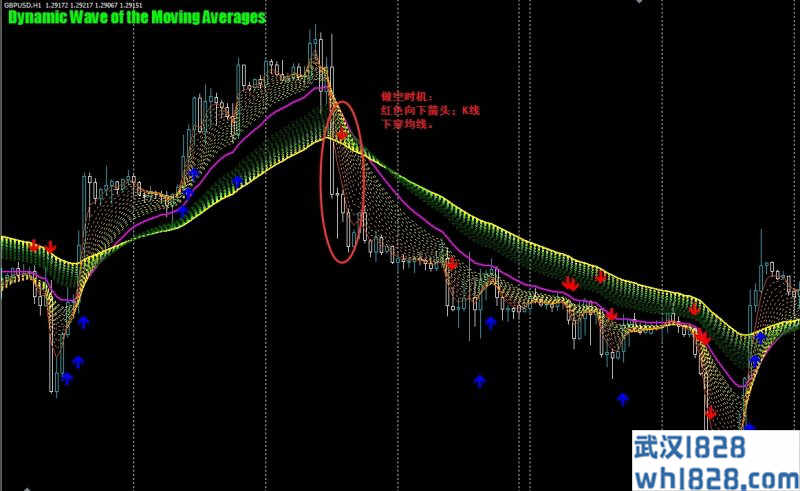  Dynamic Wave of the Moving Averages外汇交易系统下载