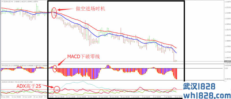 白趋势外汇交易系统