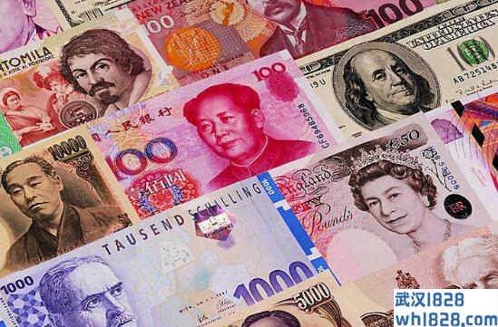 你对掌握外汇定单应该掌握的知识有什么认识？