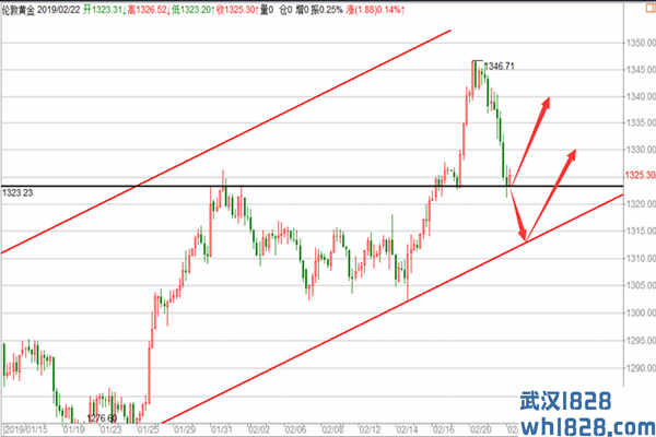 2.22黄金跳水未能改变方向，原油还需确定方向！