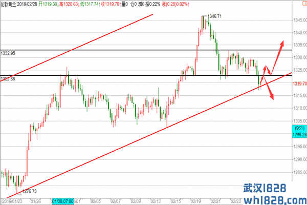 2.28黄金多头仍未改变，原油看突破操作建议！