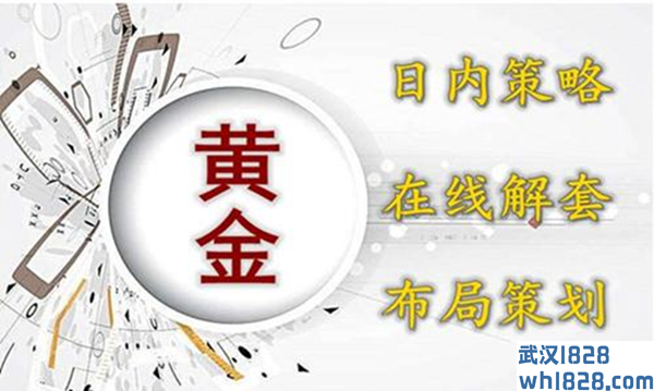 6.17黄金经在线运营策略,您是否真正了解利润布局