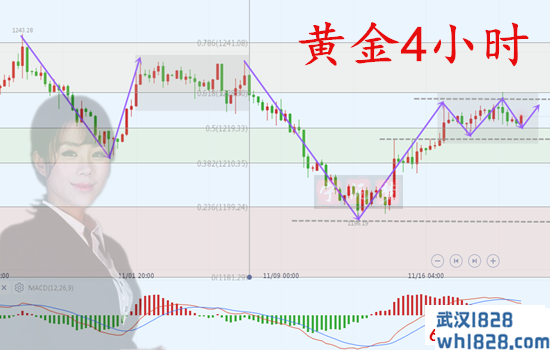 11.21晚间黄金行情分析，原油EIA晚间美盘操作建议